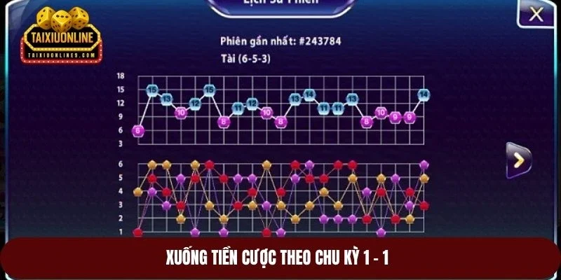 Xuống tiền cược theo chu kỳ 1 - 1