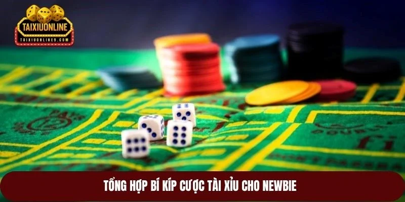 Tổng hợp bí kíp cược tài xỉu cho newbie