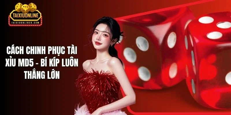 Cách Chinh Phục Tài Xỉu MD5 - Bí Kíp Luôn Thắng Lớn