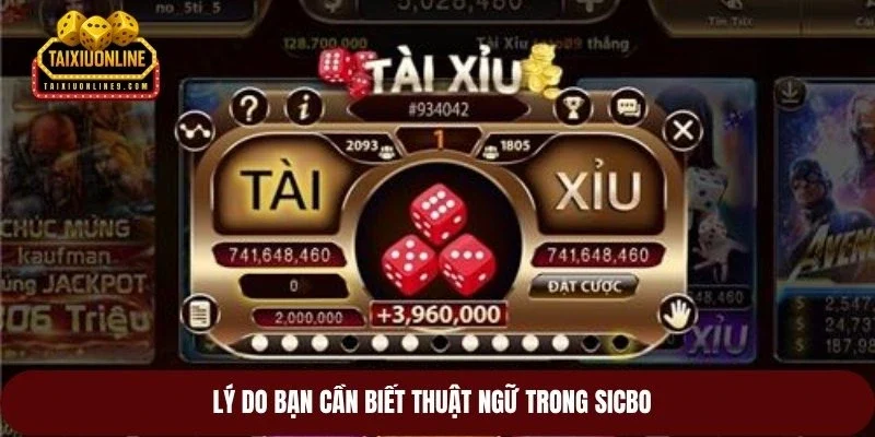 Lý do bạn cần biết thuật ngữ trong sicbo